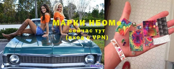 гидра Гусиноозёрск